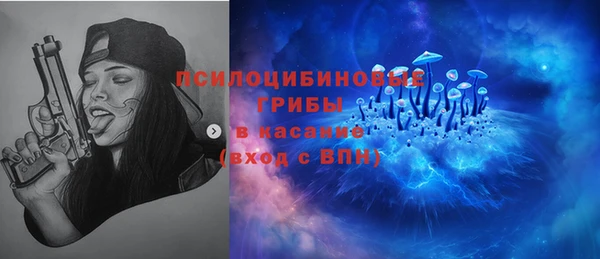 индика Алексин
