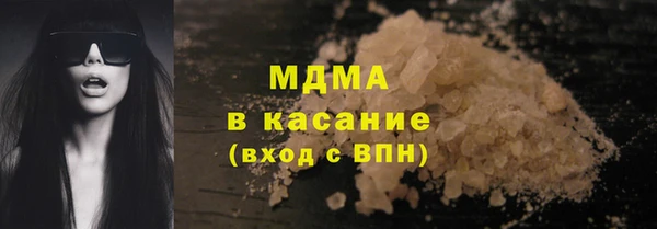 индика Алексин