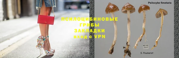 шишки Абинск