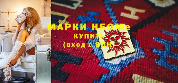индика Алексин
