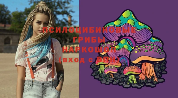 индика Алексин