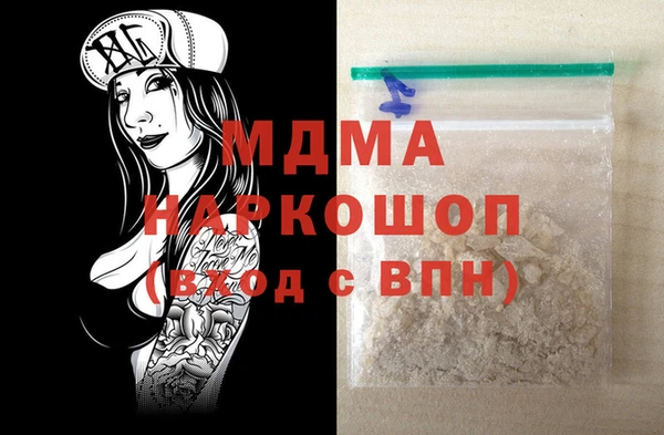 индика Алексин