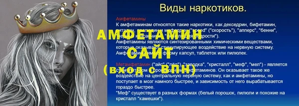 индика Алексин