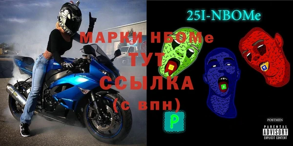 индика Алексин