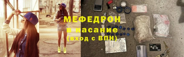 индика Алексин