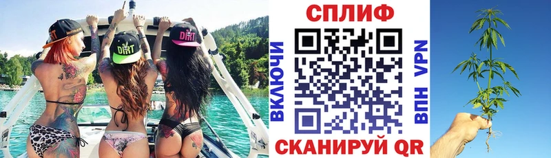Канабис SATIVA & INDICA Арск